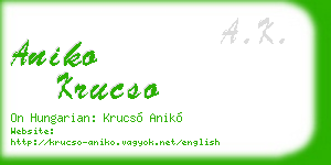aniko krucso business card
