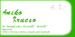 aniko krucso business card